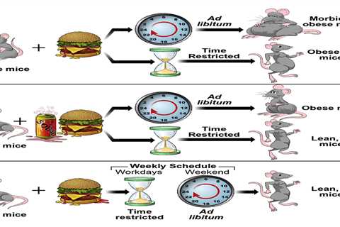 Fasting Mimicking Diets and the Keto Diet