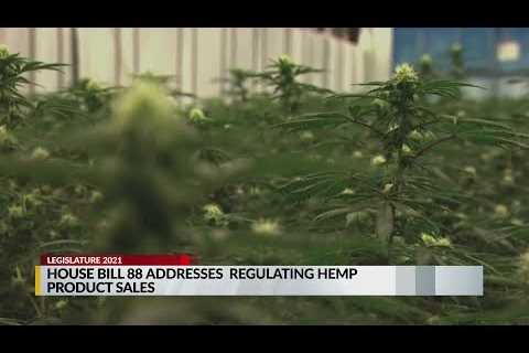 Bill would regulate hemp products, sales in New Mexico