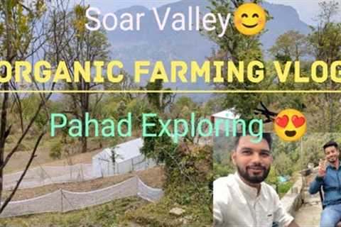 Organic Farming Vlog #reels #Soar Valley #pahadi #Pahad Exploring 😍❤️