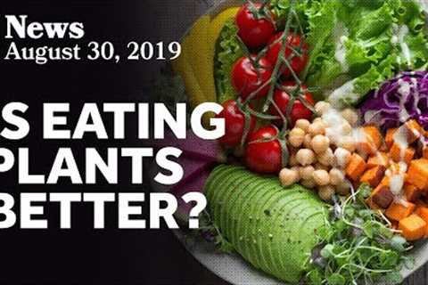 New Research On Plant-Based Diets and Mortality
