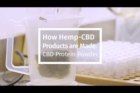 How Hemp-CBD Products are Made: CBD Protein Powder