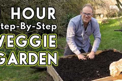 New Vegetable Garden: How To Get Started