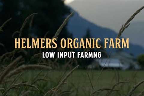 Organic Innovation Series Episode 1: Low Input Farming -  Helmer''s Organic Farm