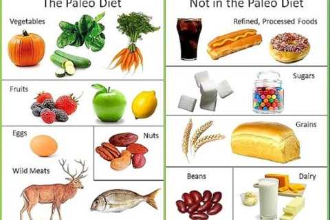 How to Stay on Track With the Paleo Diet