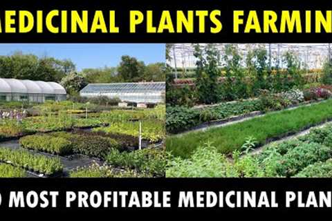 Most profitable Medicinal Plants farming in India | Medicinal Plants Cultivation Business