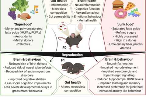 The Effect of a Plant-Based Diet on the Gut-Brain Axis
