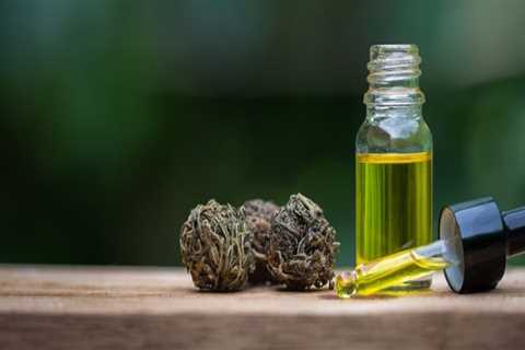 What's the Difference Between Hemp Oil and CBD Oil?