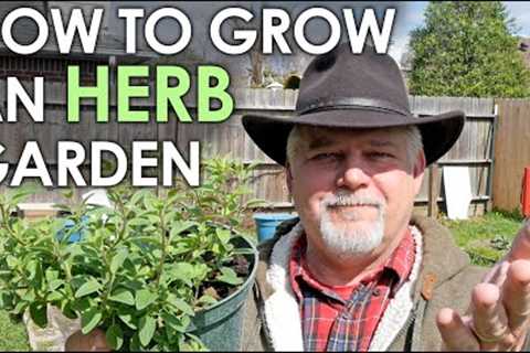 How to Grow an HERB Garden - The EASY DIY Essentials || Black Gumbo