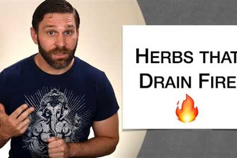 🌿 Herbology 1 Review - Herbs that Drain Fire (Extended Live Lecture)