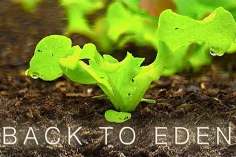 Back To Eden Gardening Documentary Film - How to Grow a Regenerative Organic Garden