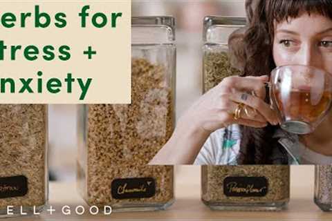 Common and Accessible Herbs for Stress and Anxiety | Plant-Based | Well+Good