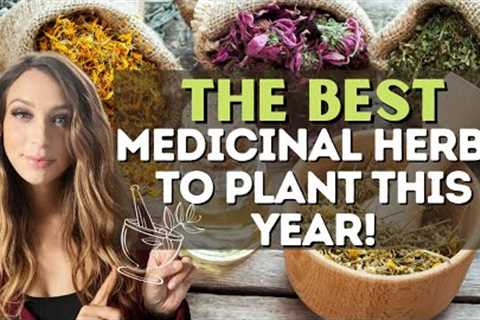 10 Essential Medicinal Herbs to Plant This Year | Prepper Pantry Medicine