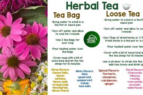 Growing And Using Herbs For Beginners | Organic Gardening | Herbal Tea