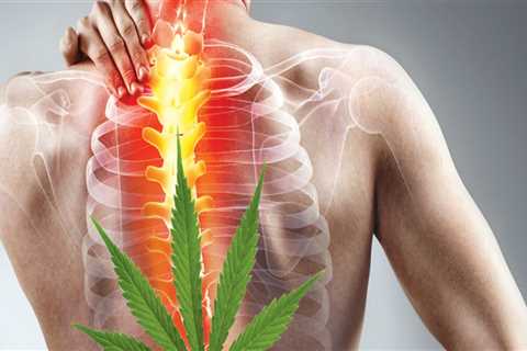 What cbd strain is best for back pain?