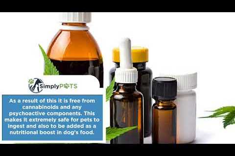 The Difference Between Hemp Oil & CBD Oil for Dogs