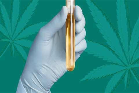 Can Hemp Make You Fail a Drug Test?