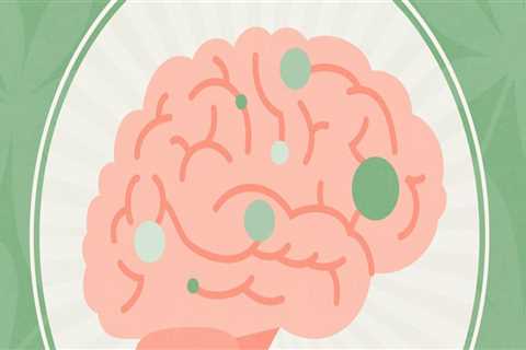 Unlocking the Secrets of CBD: How Does it Work on the Brain?