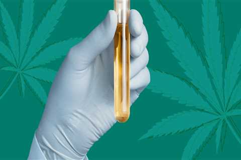 Will cbd oil show in blood tests?