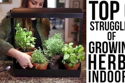 Top 6 Struggles of Growing Herbs Indoors (w/ solutions)!!!🌿🌿🌿 // Garden Answer