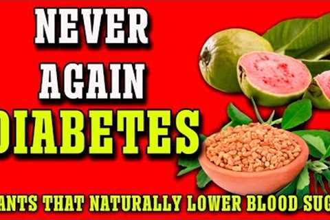 6 Plants for Diabetes: Lower Blood Sugar and Increase Insulin - Plant Them in Your Garden