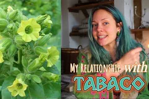 Plant Connections: The Medicine of Tabaco/Mapacho [Nicotiana Rustica]