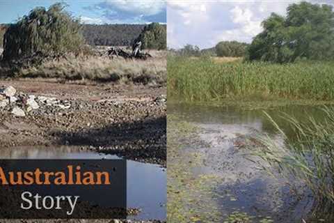 Natural sequence farming: How Peter Andrews rejuvenates drought-struck land | Australian Story
