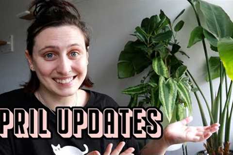 what''s going on with my plants this month 🪴 April Plant Updates