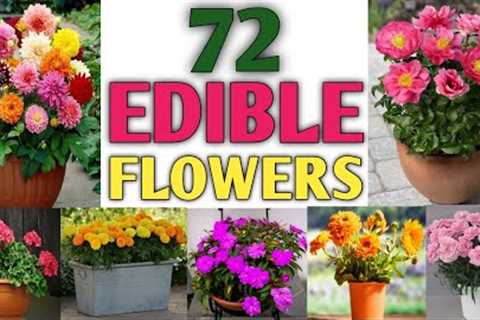72 Edible Flowers | Eatable Flowers you can grow for flavour your food and improve your health