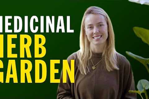 How To Start A MEDICINAL HERB GARDEN •  Indoor Herb Garden For Beginners • Quest for Beauty