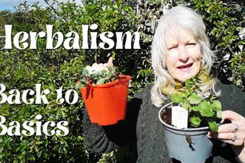 Herbalism - Back to Basics