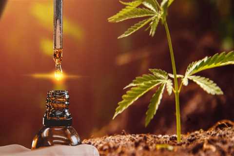 The Benefits of CBD Oil on the Brain