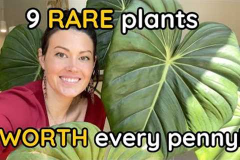 9 Rare Plants WORTH Every Penny - You Won''t Regret Buying These Houseplants - Part 3
