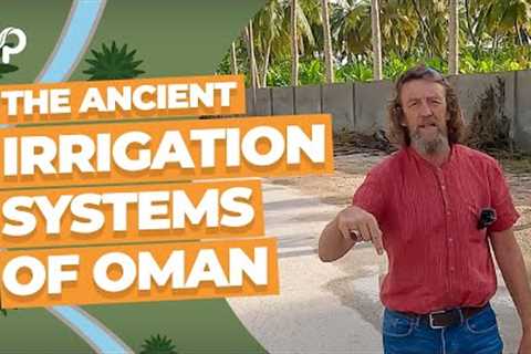 The Ancient Irrigation Systems of Oman