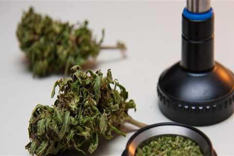 Hybrid Cannabis For Medical Use: 10 Questions To Ask Your Medical Marijuana Doctor