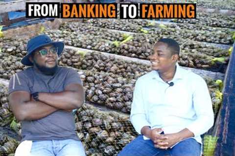 How He Started His Successful Snail and Cashew Farm As a Full time Banker   - EduGreen Farms