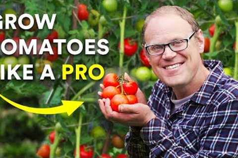 5 Secrets to Growing Amazing Tomatoes (That Really Work)