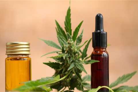 Which is More Potent: Hemp or CBD Oil?