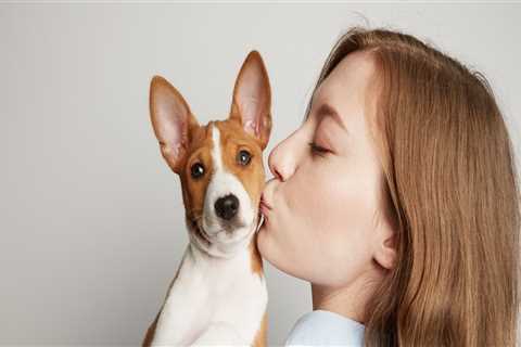 Can Human CBD Oil Be Used on Dogs?
