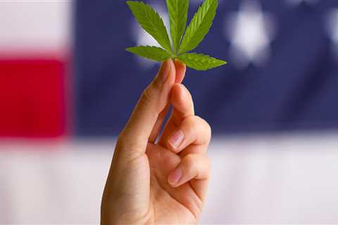 Is CBD Oil Legal in All 50 States?
