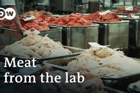 The world of meat substitutes | DW Documentary