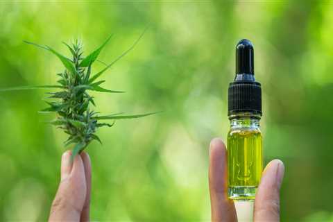 What is CBD and How Does it Affect Medication?