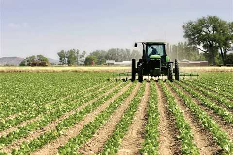 Organic Farming and Weed Control