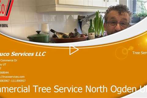 Tree-Services-Vineyard-Utah