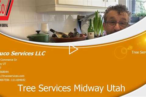 Tree-Services-Cottonwood-Heights-Utah