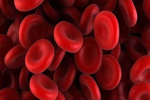 Understanding ABO Blood Group Tests