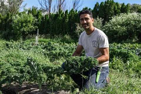 Organic No-Till Farm Growing an Abundance of Food on 11 Acres - Amazia Farm