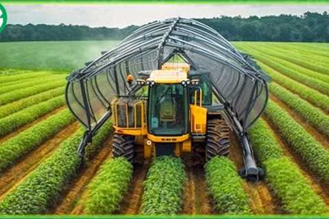 Modern Agriculture Machines Harvesting Tons of Fennel, Red Cabbage, Green Onion, Broccoli...