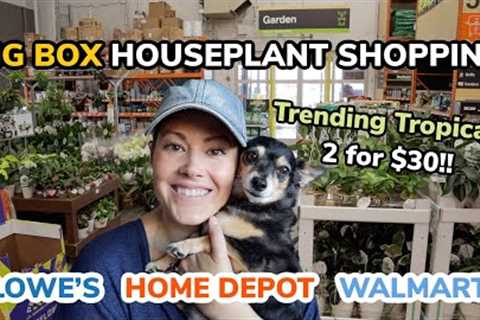 2 For $30?! Big Box Plant Shopping - Home Depot, Lowe''s & Walmart Shopping - Grand Rapids,..