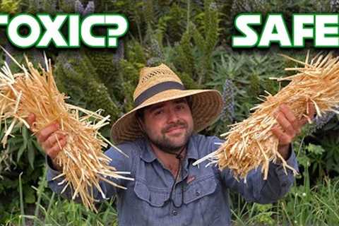 Straw Is Amazing For Your Garden, IF It''s Safe.
