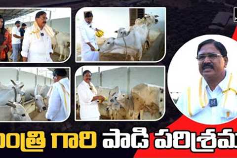 Minister Niranjan Reddy Dairy Industry | Niranjan Reddy Farm House | Niranjan Reddy Interview | MT